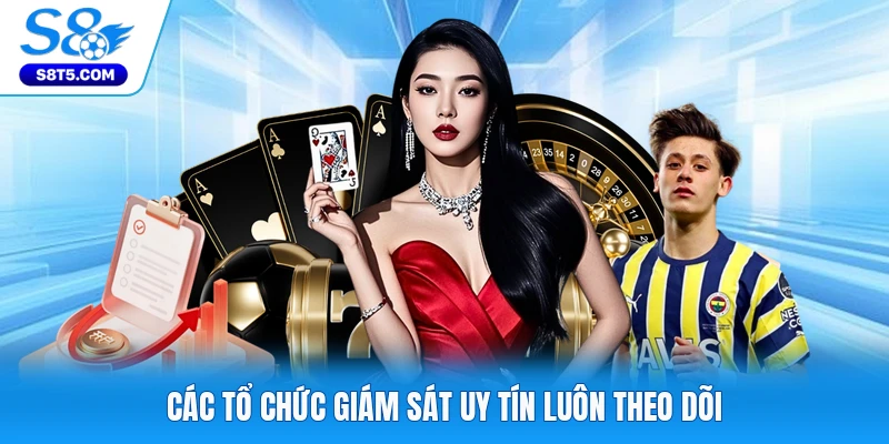 Các tổ chức giám sát uy tín luôn theo dõi