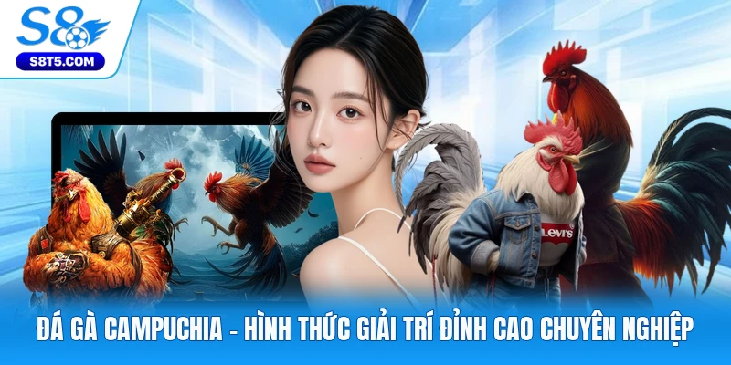 Đá Gà Campuchia - Hình Thức Giải Trí Đỉnh Cao Chuyên Nghiệp