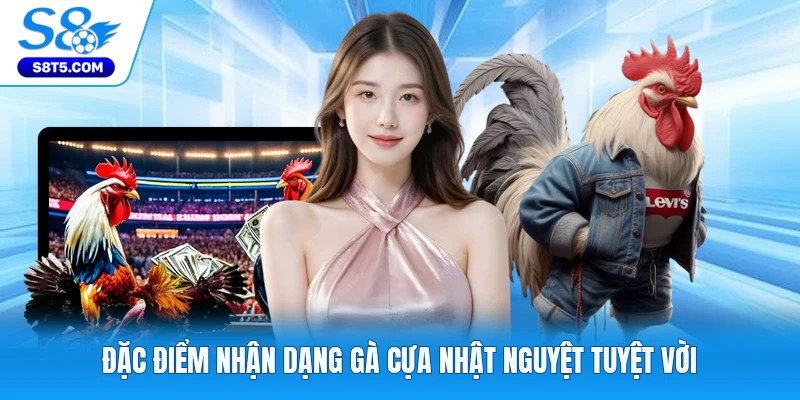 Đặc điểm nhận dạng gà cựa Nhật Nguyệt tuyệt vời