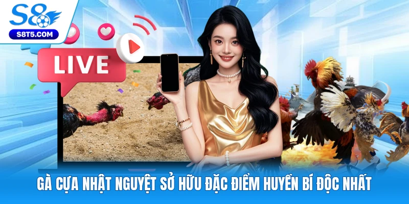 Gà Cựa Nhật Nguyệt Sở Hữu Đặc Điểm Huyền Bí Độc Nhất