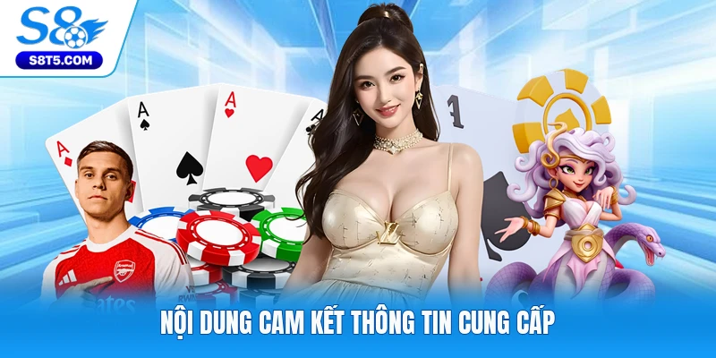 Nội dung cam kết thông tin cung cấp